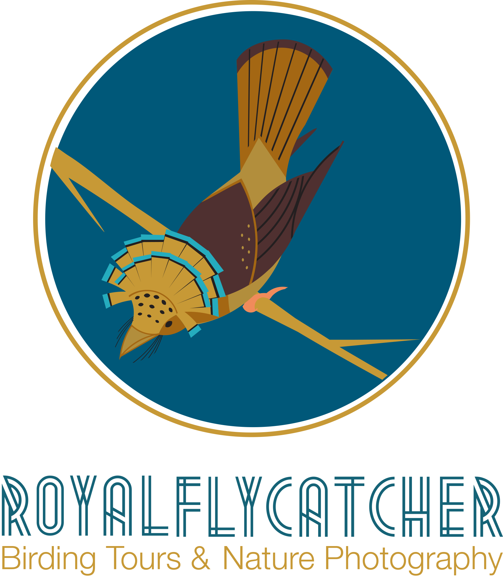 RoyalFlycatcher